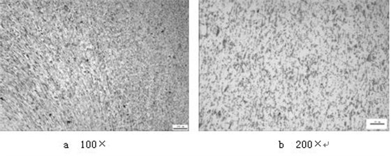 ML16CrSiNi長托板螺母未熱處理的金相組織，可見變形痕跡