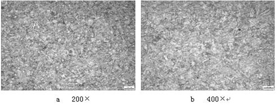 1Cr12Ni2WMoVNb 螺栓淬火回火金相組織