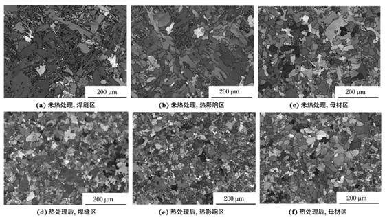 圖２ 熱處理前后焊接接頭焊縫區(qū)、熱影響區(qū)和母材區(qū)的取向成像圖