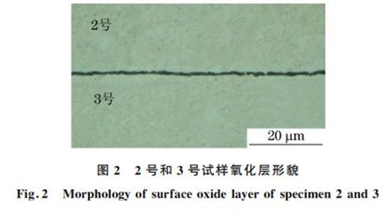 圖２ ２號和３號試樣氧化層形貌