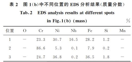 表２ 圖１(b)中不同位置的 EDS分析結果(質(zhì)量分數(shù))