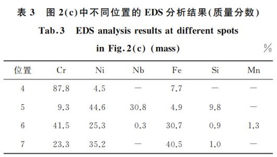 表３ 圖２ c 中不同位置的 EDS分析結果 質(zhì)量分數(shù)