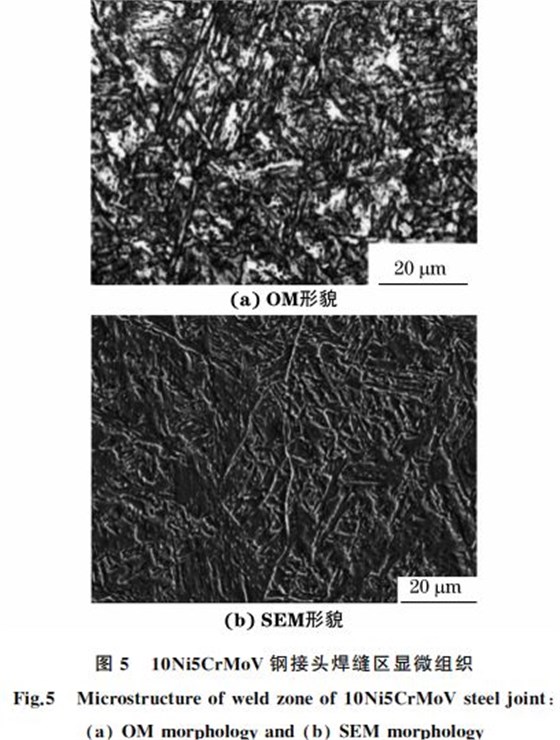 圖５ １０Ni５CrMoV鋼接頭焊縫區(qū)顯微組織