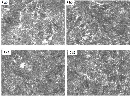 圖12-15 （a、b、c、d） 1～4號樣金相組織 500×