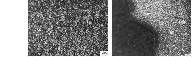 圖11-69 一號(hào)樣心部金相組織 圖11-70一號(hào)樣表面金相組織