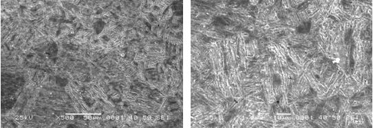 圖16-69 無裂紋件的組織形貌 500×圖16-70 無裂紋件的組織形貌 1000×