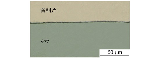 圖２ ２號(hào)和３號(hào)試樣氧化層形貌