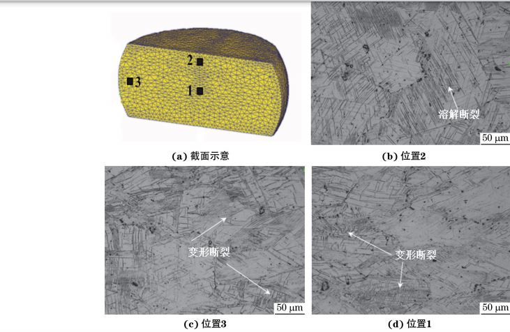 在９８０ ℃、應變速率為０．０１０s－１下壓縮至應變量為３０％后