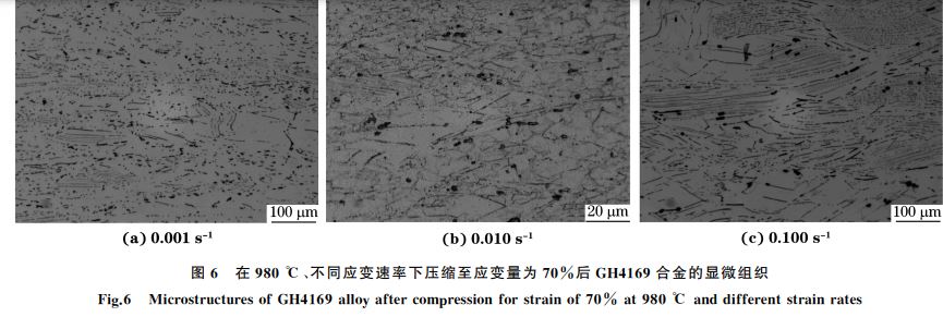 圖６ 在９８０ ℃、不同應變速率下壓縮至應變量為７０％