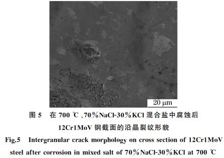 １２Cr１MoV鋼截面的沿晶裂紋形貌