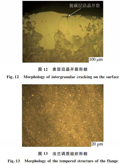 圖１２ 表層沿晶開裂形貌