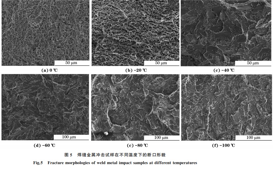 圖５ 焊縫金屬?zèng)_擊試樣在不同溫度下的斷口形貌